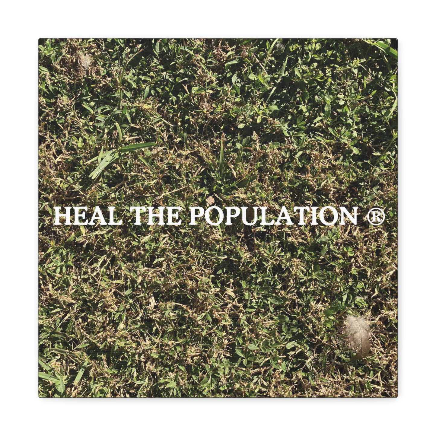 Heal The Population ® Canvas - -Szn # 1