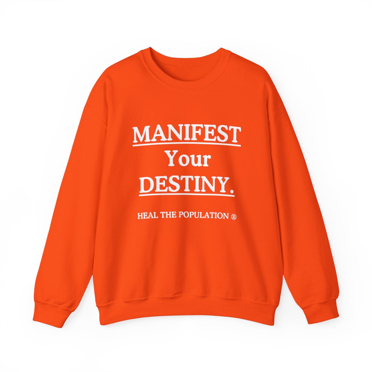 Manifest Your Destiny Sweatshirt