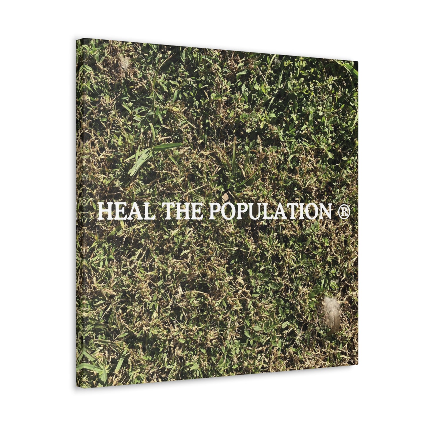 Heal The Population ® Canvas - -Szn # 1