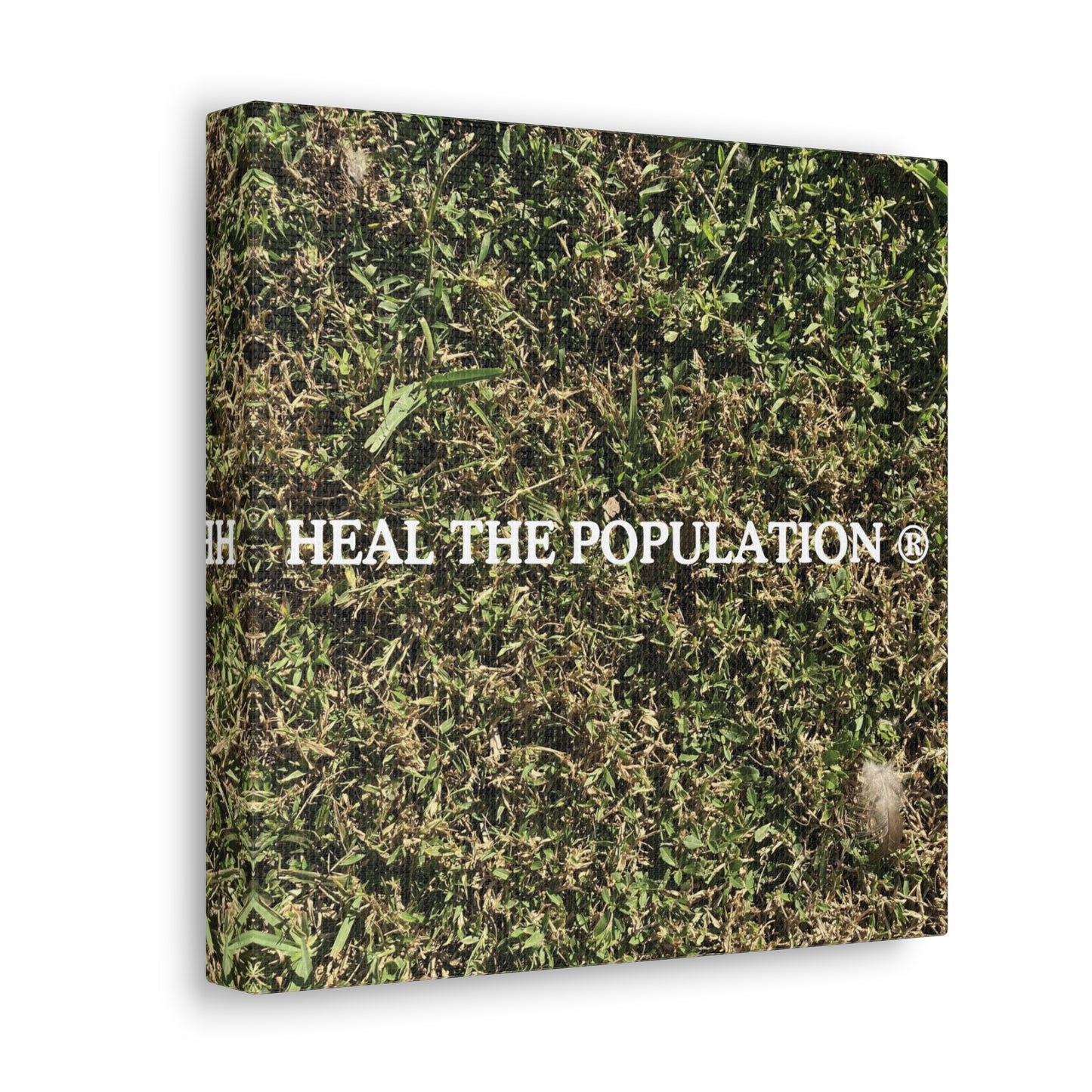 Heal The Population ® Canvas - -Szn # 1