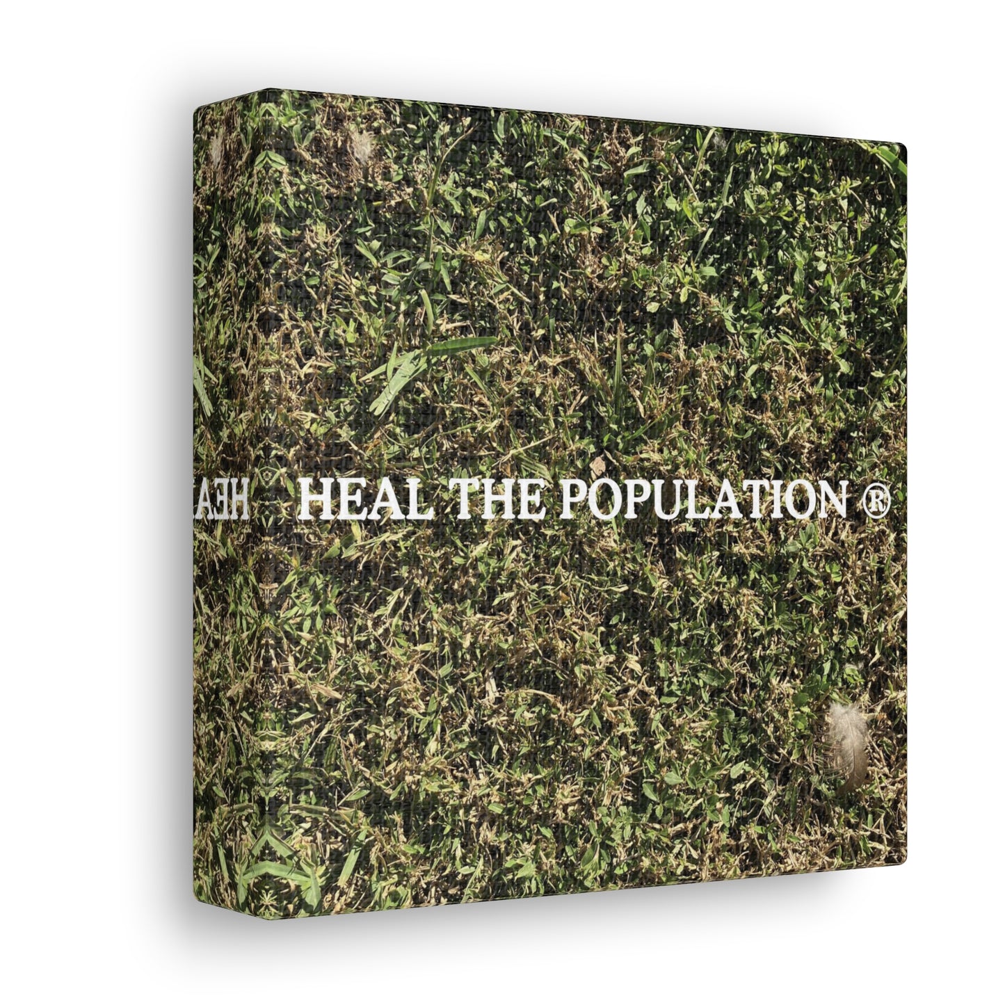 Heal The Population ® Canvas - -Szn # 1