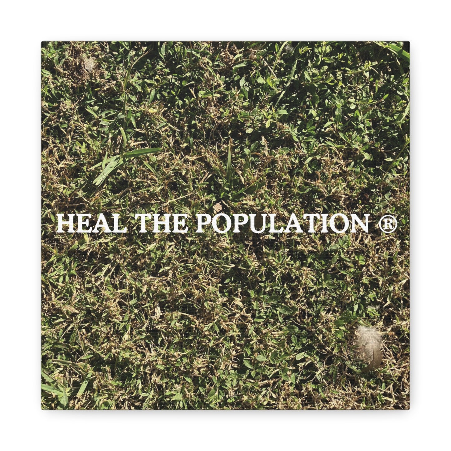 Heal The Population ® Canvas - -Szn # 1