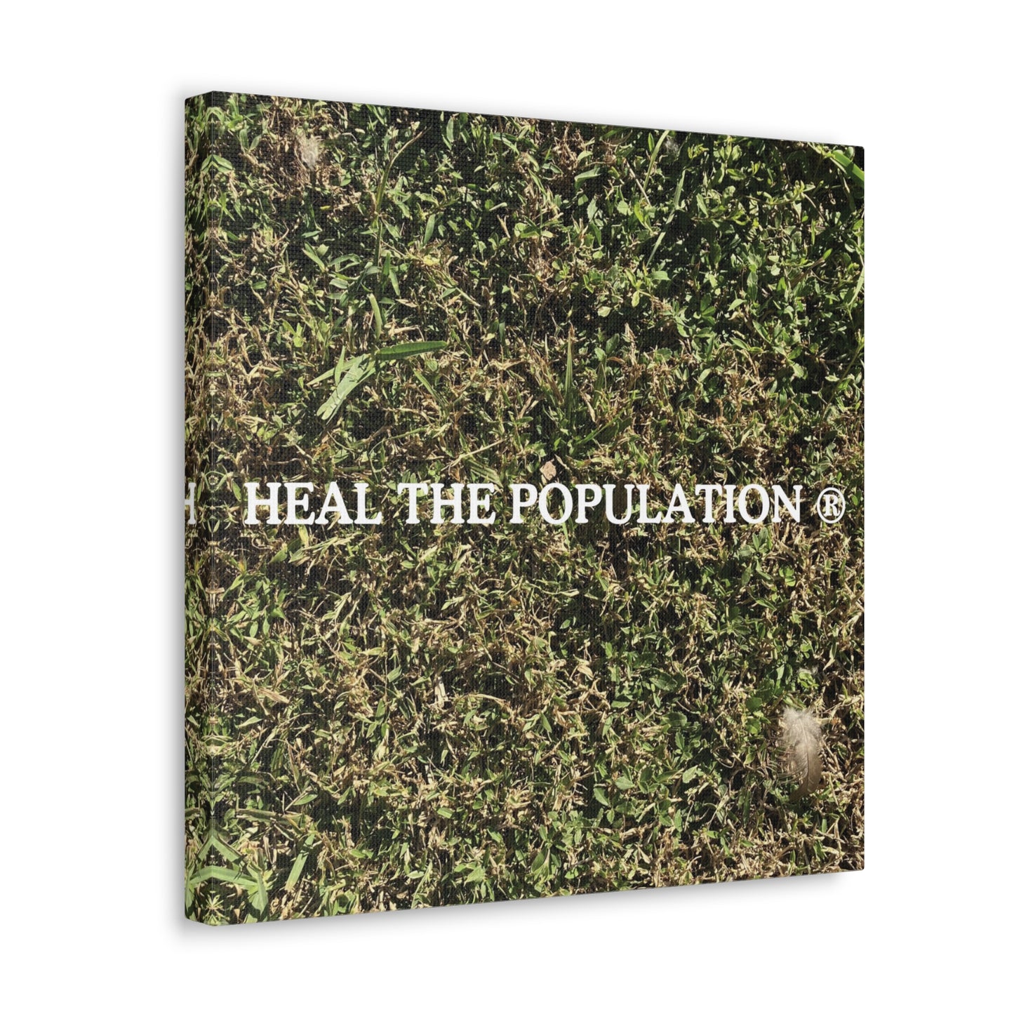 Heal The Population ® Canvas - -Szn # 1