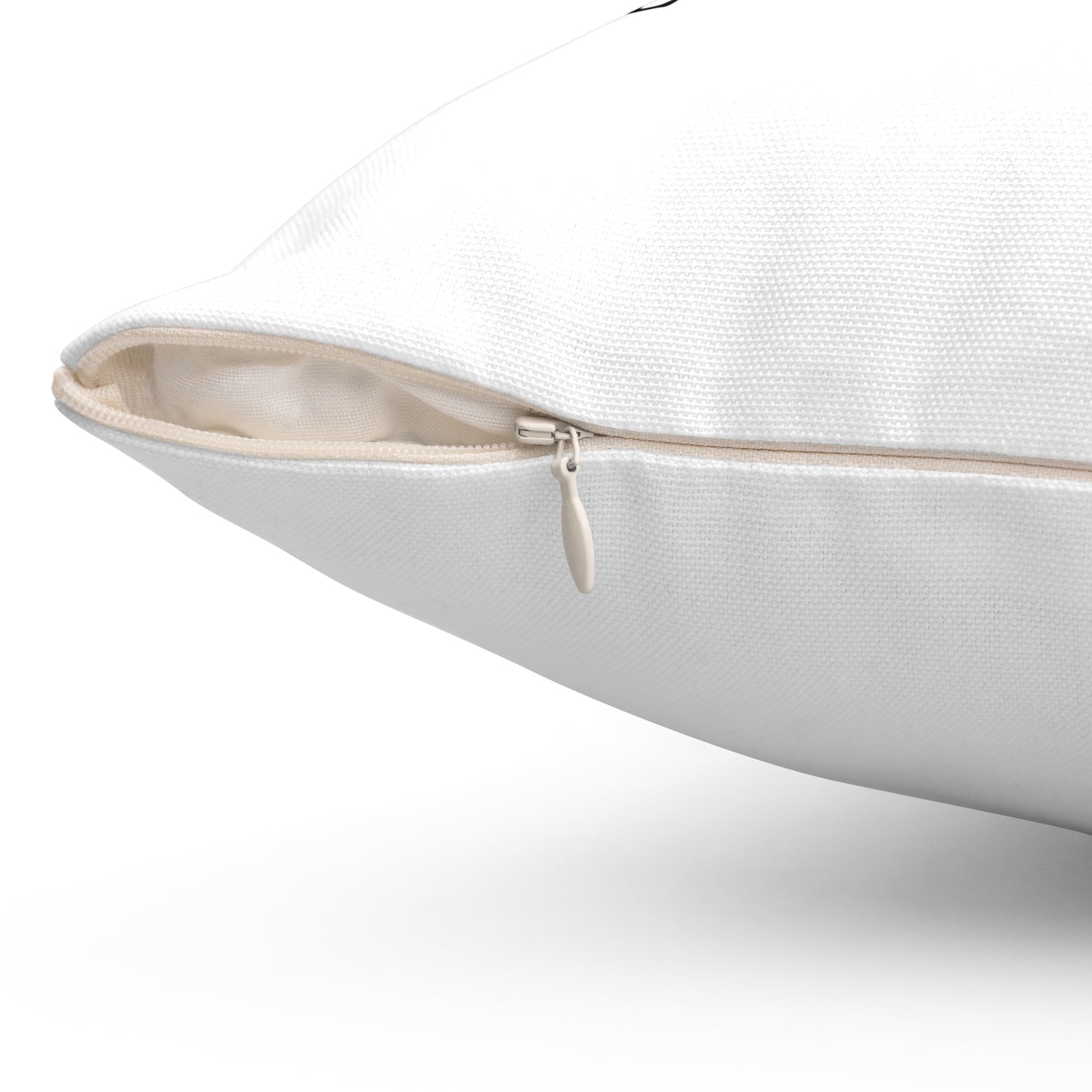 BE the SOLUTION Pillow