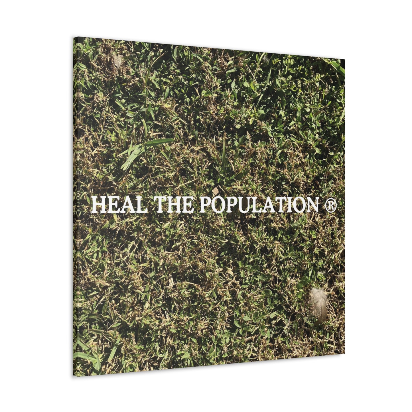 Heal The Population ® Canvas - -Szn # 1